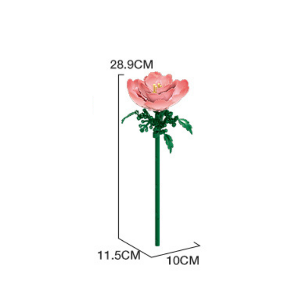 11543_PE.png